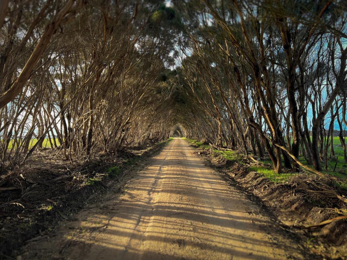 Cabn Kangaroo Island Penneshaw Εξωτερικό φωτογραφία